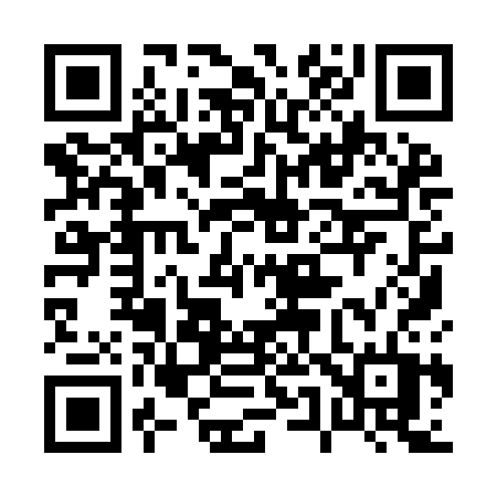QR code for 0599CT