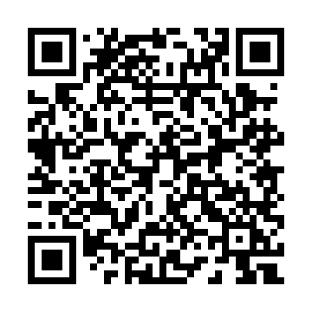 QR code for 0600LI