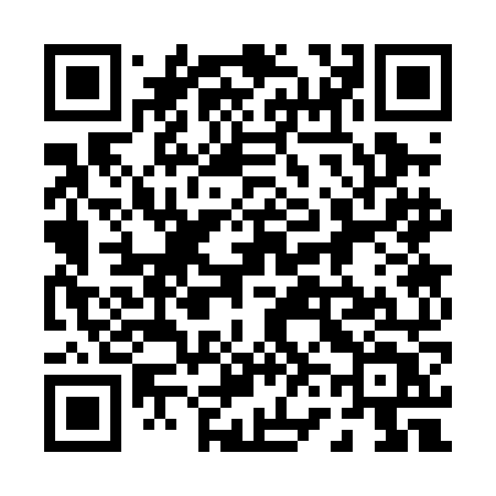 QR code for 0630NT