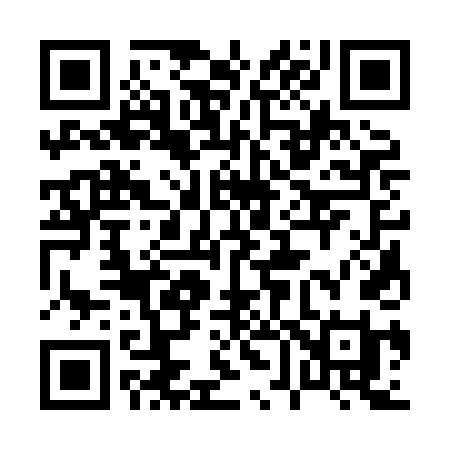 QR code for 0638DI