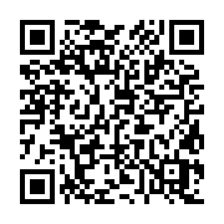 QR code for 0638LT