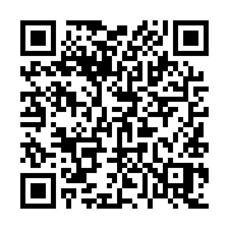 QR code for 0641YP