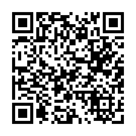 QR code for 0653PI