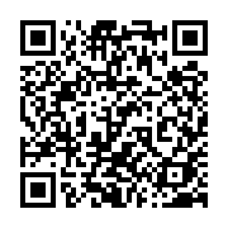 QR code for 0675PI