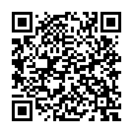 QR code for 0696XO