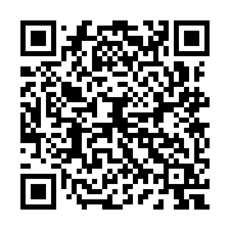 QR code for 0739IR