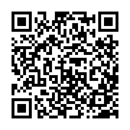 QR code for 0803IR