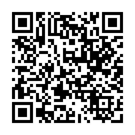 QR code for 0919IC