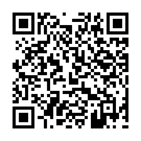 QR code for 0919ZM