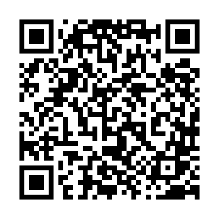 QR code for 0985DS