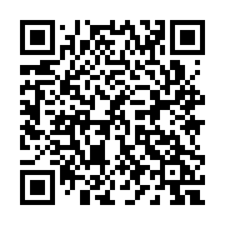 QR code for 0993PG
