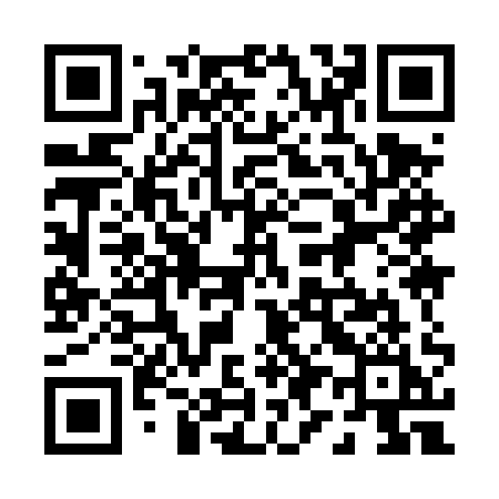 QR code for 0994QI