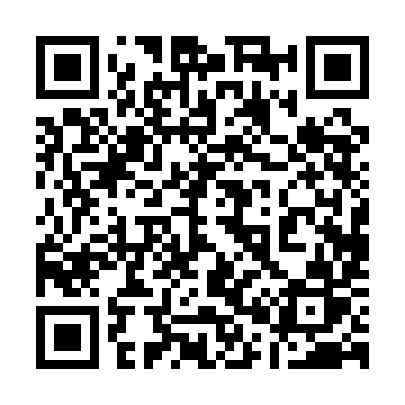 QR code for 1001IR