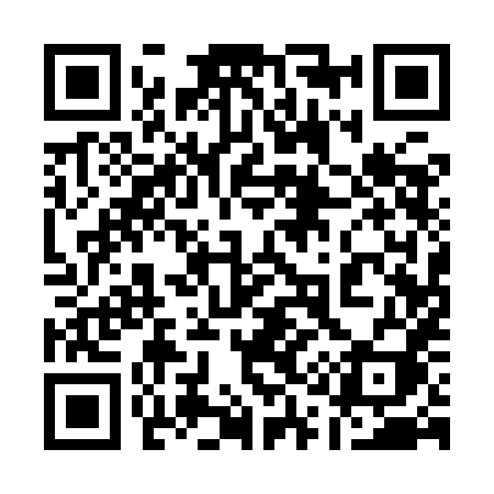 QR code for 1119HI