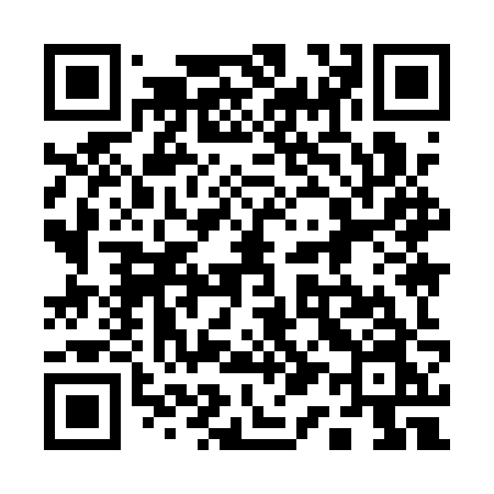 QR code for 1191ZN