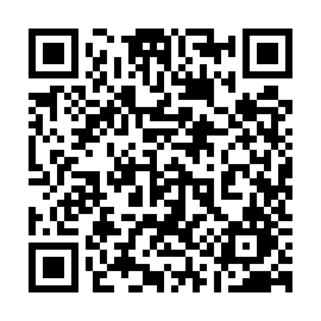 QR code for 1195ZN
