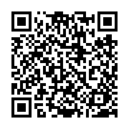 QR code for 1196ZO