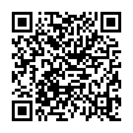 QR code for 1238PO