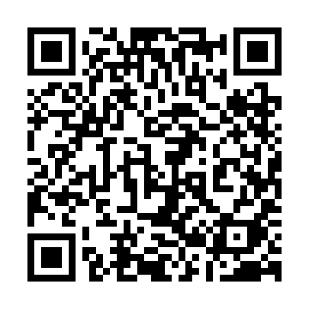 QR code for 1253II