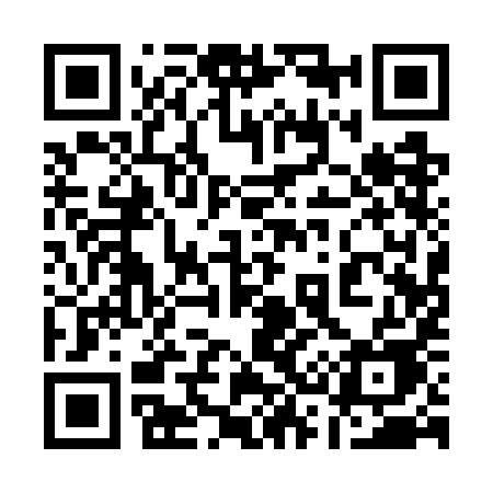 QR code for 1317IE