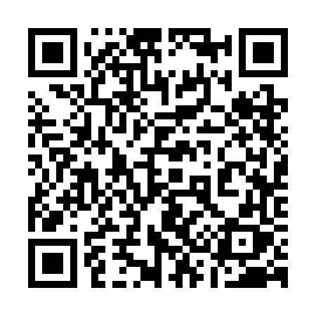 QR code for 1333FX