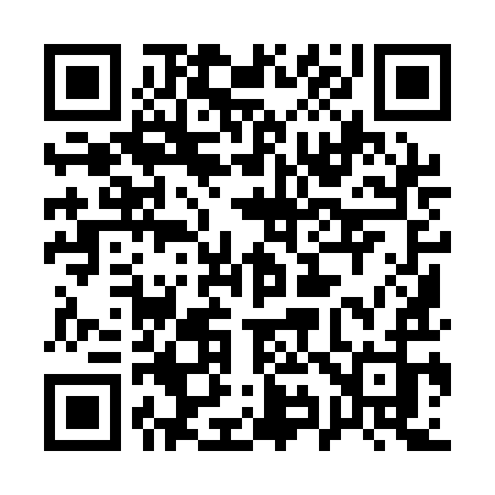 QR code for 1991IJ