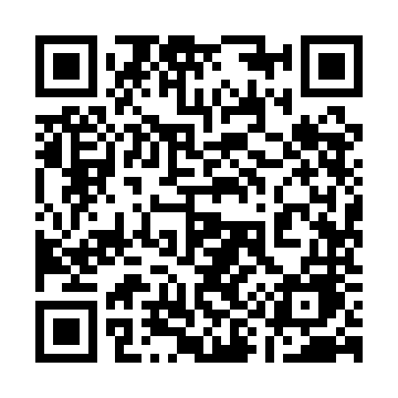 QR code for 1991NE