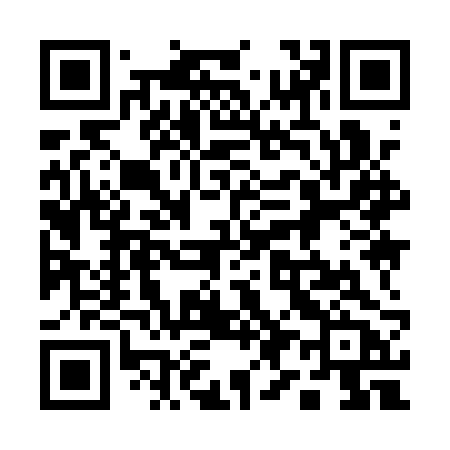 QR code for 1991RB