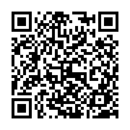 QR code for 1991WN