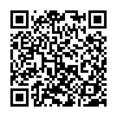 QR code for 1991ZH