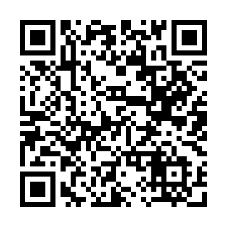 QR code for 1993ML