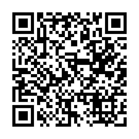 QR code for 1993RN