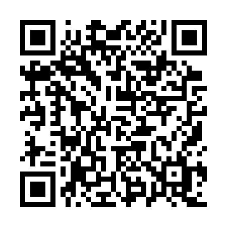 QR code for 1993SL