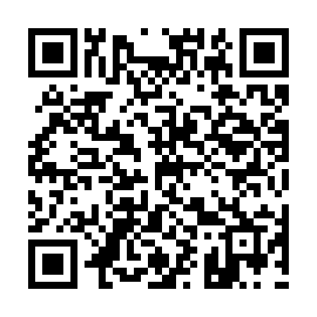 QR code for 1993YR