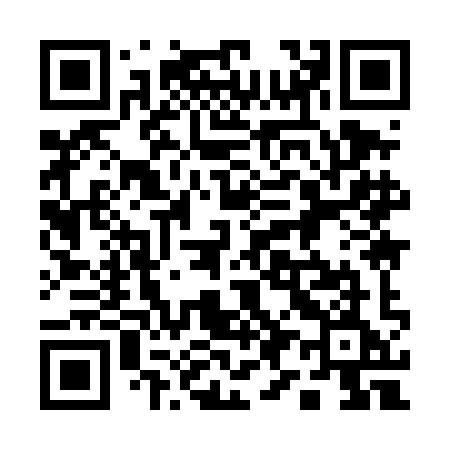 QR code for 1994IE