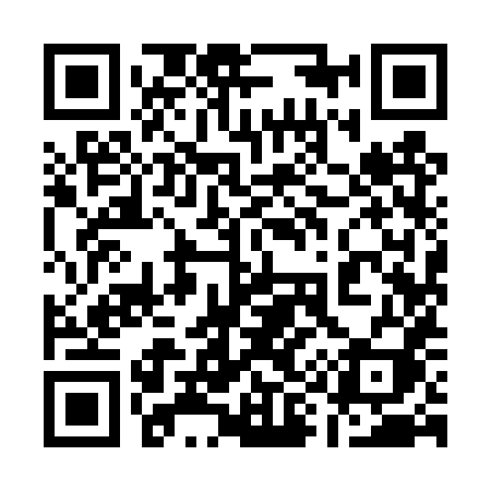 QR code for 1994XI