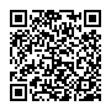 QR code for 1994ZQ