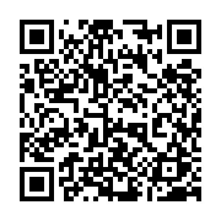 QR code for 1995BS