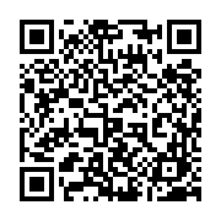 QR code for 1995FL
