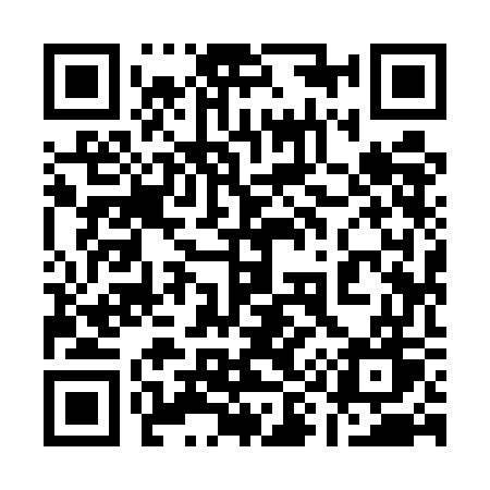 QR code for 1995GW