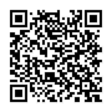 QR code for 1995WG