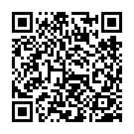 QR code for 1996GZ