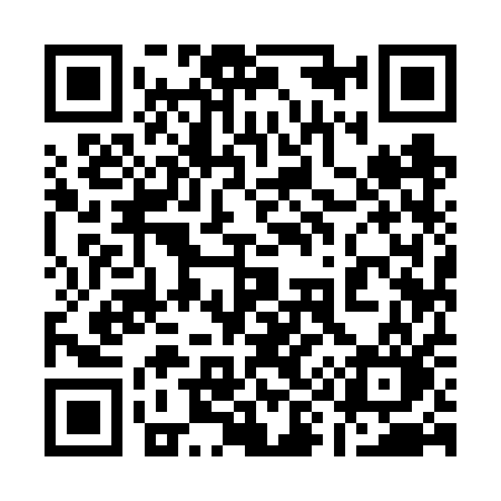 QR code for 1996QO