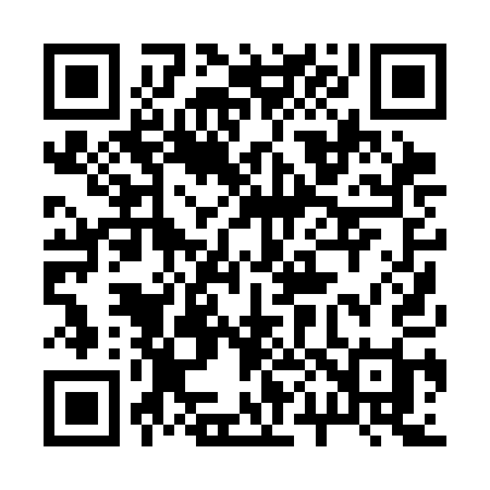 QR code for 2003AI