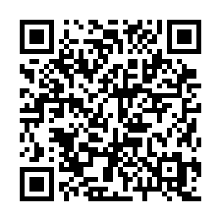 QR code for 2003JM