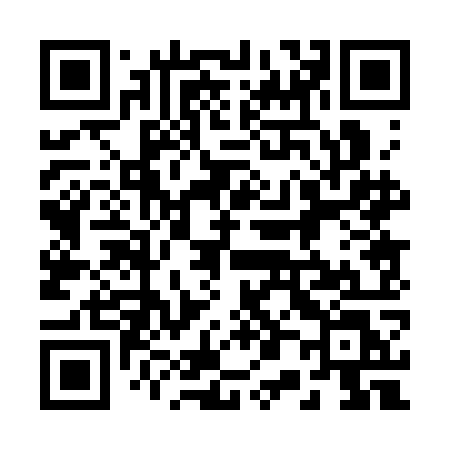 QR code for 2003OL