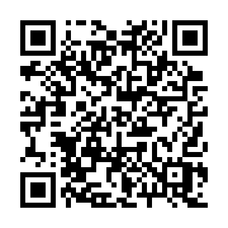 QR code for 2003QW