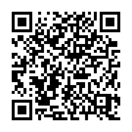 QR code for 2003ZP