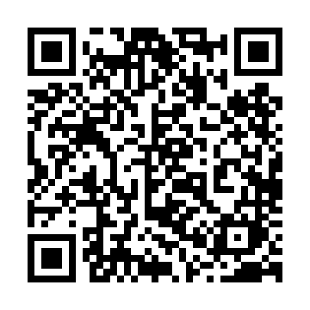QR code for 2004NM