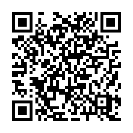 QR code for 2004RX